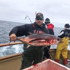 Meet your Posher, Jacob